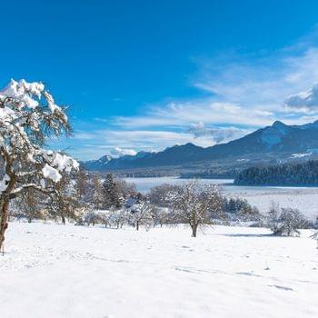 La danza delle stagioni al Karnerhof Winter Villach